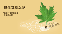 艾草越嫩越好，還是越久越好？悄悄告訴你：艾草這樣用，效果最好！