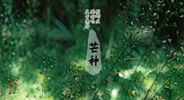 【二十四節(jié)氣灸】芒種節(jié)氣，培土補脾、養(yǎng)陰生津！艾灸這些穴位事半功倍！
