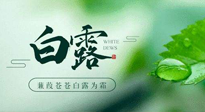 【二十四節(jié)氣灸】白露涼爽，養(yǎng)心肝脾胃、滋陰潤肺是關鍵！