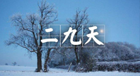 【三九養(yǎng)生】冬二九，扶陽補(bǔ)腎氣，讓你陽氣充足一整年！