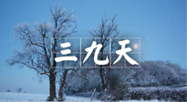 【三九養(yǎng)生】冬三九，三九第三灸，一年中最后艾灸黃金9天！