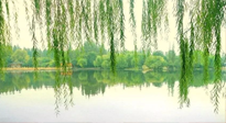 【養(yǎng)生知識】已入五九，六九將至，五九的養(yǎng)生秘訣，你知道嗎？