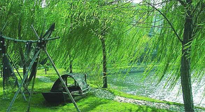 【養(yǎng)生知識】元宵入六九，春季已至，六九天的養(yǎng)生知識你知道多少？