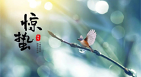 【二十四節(jié)氣灸】驚蟄節(jié)氣，艾灸喚醒抵抗力、補充陽氣的最好時機！