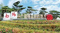 【行業(yè)資訊】南陽一個(gè)值得三顧的地方！“丹江水”“仙草艾”成為 “南陽禮物”新爆款！
