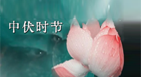 【艾灸三伏天】中伏：三伏灸的關(guān)鍵轉(zhuǎn)折點(diǎn)！“灸”除病根的大好時(shí)機(jī)！