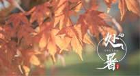 【二十四節(jié)氣灸】處暑，冬病夏治倒計時！秋涼真的要來了！