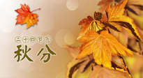 【二十四節(jié)氣灸】秋分節(jié)氣，平衡陰陽(yáng)，巧用艾灸，潤(rùn)燥養(yǎng)肺是關(guān)鍵！