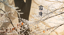 【二十四節(jié)氣灸】霜降節(jié)氣：艾灸四穴，護(hù)您冬天安然無恙！
