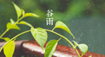 【二十四節(jié)氣灸】谷雨節(jié)氣脾土濕，艾灸降濕濁，脾旺不受邪！
