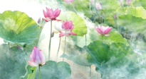 【養(yǎng)生知識】花開半夏，夏至養(yǎng)生，這些知識一定要牢記！