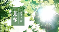 【艾灸三伏天】今年三伏不一般，仙草小助理建議大家早作準備哦！