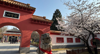 【行業(yè)資訊】新華財經(jīng)：守正創(chuàng)新，中醫(yī)藥品牌化發(fā)展“更上一層樓”！