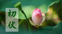 【三伏天】初伏將至，“蒸煮”模式開啟！想要健康，這四類食物別錯過?。? />
                    </a>
                </div>
            </li>
            
            <li id=