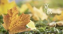 【節(jié)氣養(yǎng)生】甲辰立秋，“2做”、“2不做”，護(hù)好我們身體的正氣，預(yù)防外邪的侵襲！