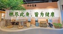 【艾草知識】小小艾草，渾身是寶，一生燃盡此身，皆為健康！